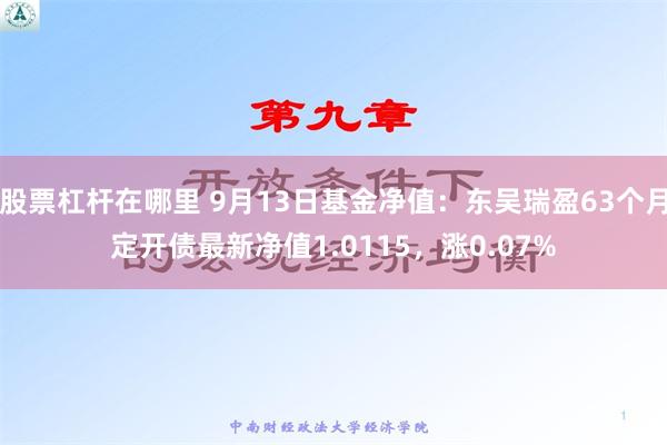 股票杠杆在哪里 9月13日基金净值：东吴瑞盈63个月定开债最新净值1.0115，涨0.07%