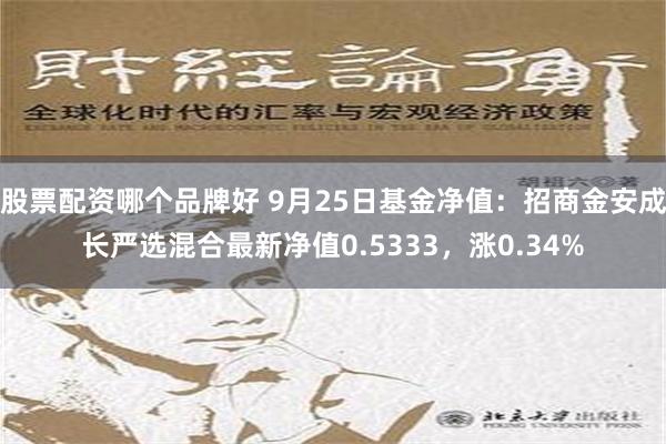 股票配资哪个品牌好 9月25日基金净值：招商金安成长严选混合最新净值0.5333，涨0.34%