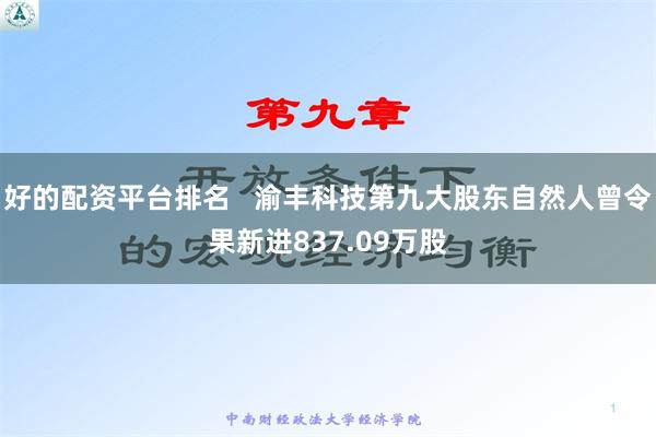 好的配资平台排名   渝丰科技第九大股东自然人曾令果新进837.09万股