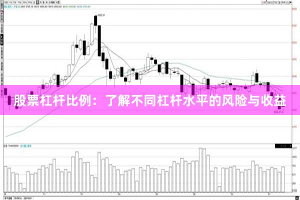 股票杠杆比例：了解不同杠杆水平的风险与收益