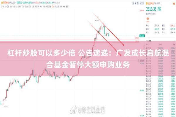 杠杆炒股可以多少倍 公告速递：广发成长启航混合基金暂停大额申购业务