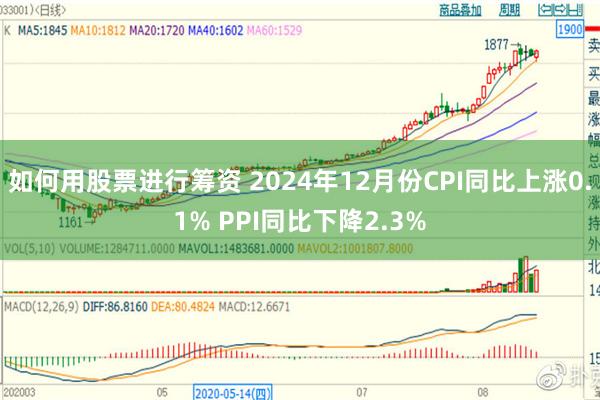 如何用股票进行筹资 2024年12月份CPI同比上涨0.1% PPI同比下降2.3%