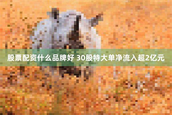 股票配资什么品牌好 30股特大单净流入超2亿元