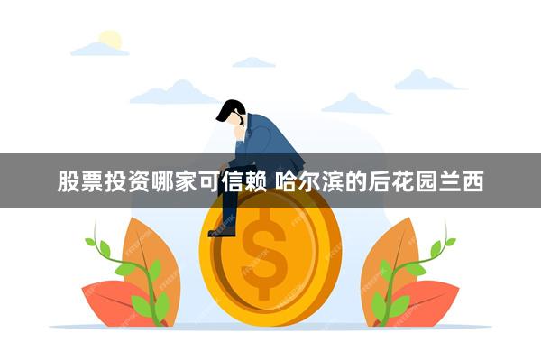 股票投资哪家可信赖 哈尔滨的后花园兰西