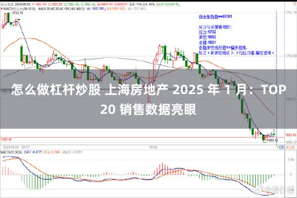 怎么做杠杆炒股 上海房地产 2025 年 1 月：TOP20 销售数据亮眼