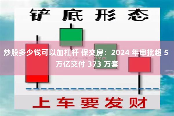 炒股多少钱可以加杠杆 保交房：2024 年审批超 5 万亿交付 373 万套