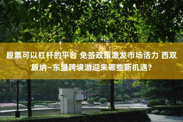 股票可以杠杆的平台 免签政策激发市场活力 西双版纳—东盟跨境游迎来哪些新机遇？