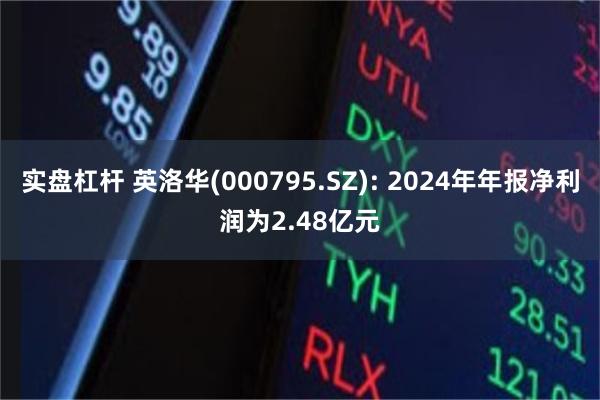 实盘杠杆 英洛华(000795.SZ): 2024年年报净利润为2.48亿元