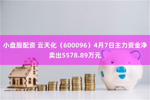 小盘股配资 云天化（600096）4月7日主力资金净卖出5578.89万元