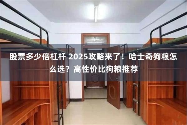 股票多少倍杠杆 2025攻略来了！哈士奇狗粮怎么选？高性价比狗粮推荐