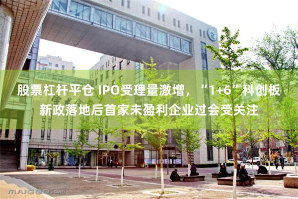 股票杠杆平仓 IPO受理量激增，“1+6”科创板新政落地后首家未盈利企业过会受关注