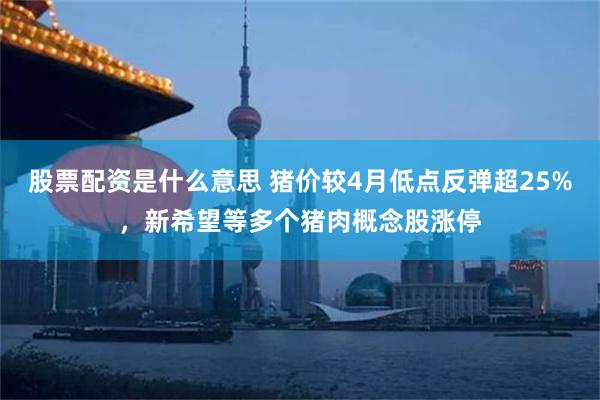 股票配资是什么意思 猪价较4月低点反弹超25%，新希望等多个猪肉概念股涨停