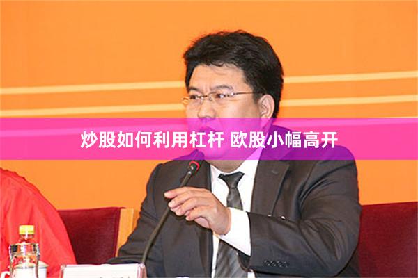 炒股如何利用杠杆 欧股小幅高开